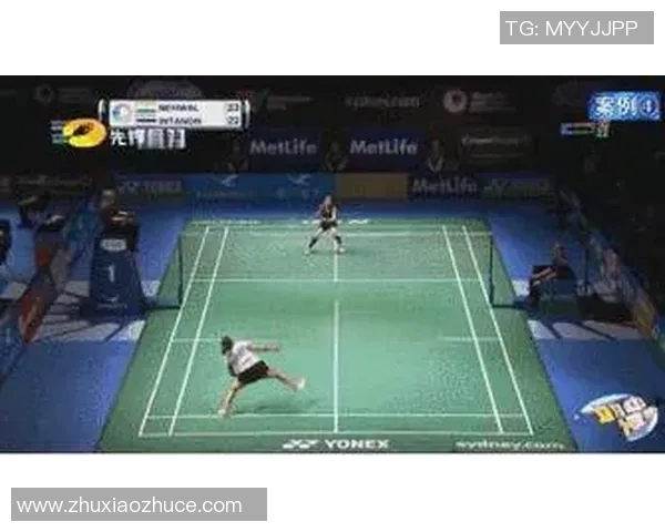 深入分析成都羽毛球队控制打法的战术特点与应用策略