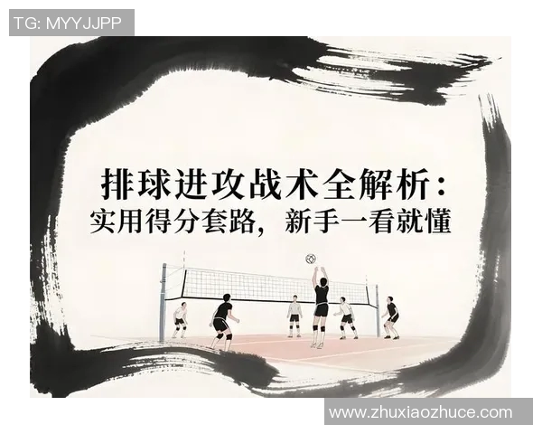 体育实时数据武汉排球队快攻战术解析与实战应用研究 体育实时数据武汉排球队快攻战术解析与实战应用研究